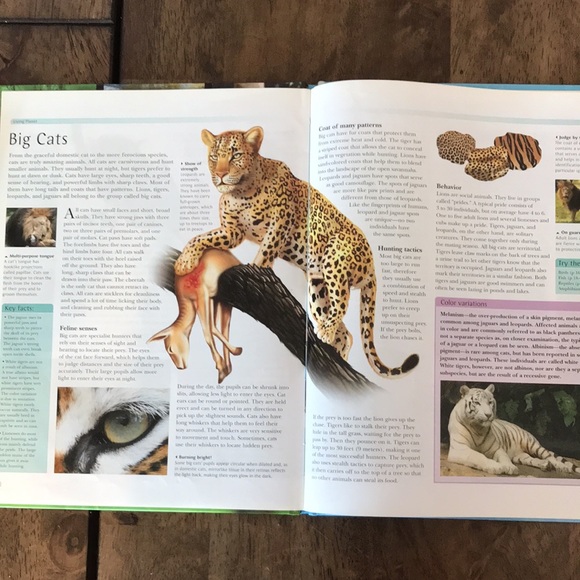 Lot of 4 Educational Books for Children - Picture 8 of 15